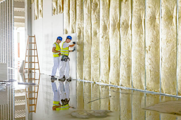 Best Commercial Insulation in Piney Mountain, VA